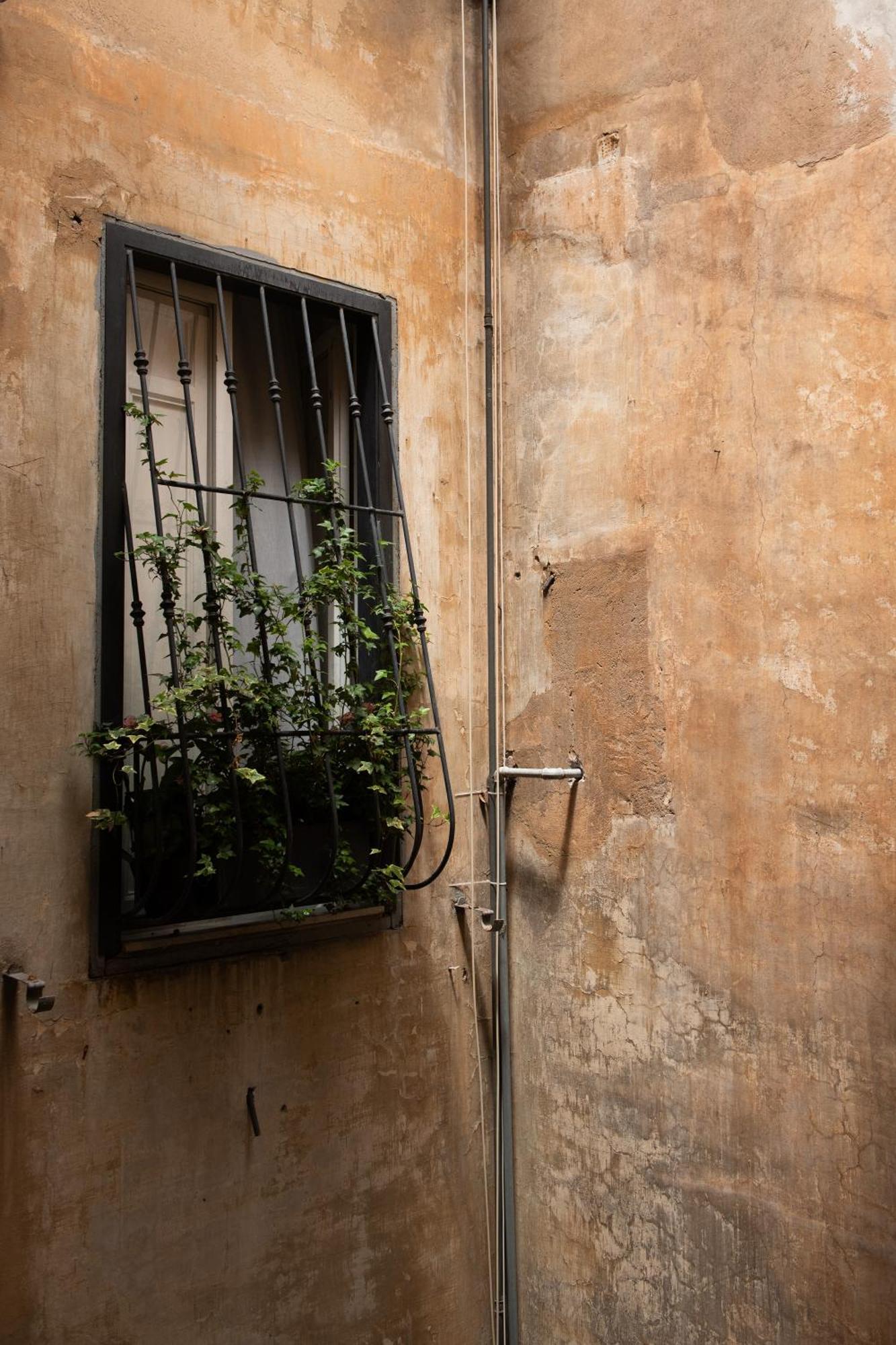 Colosseum View Accomodation Рим Экстерьер фото